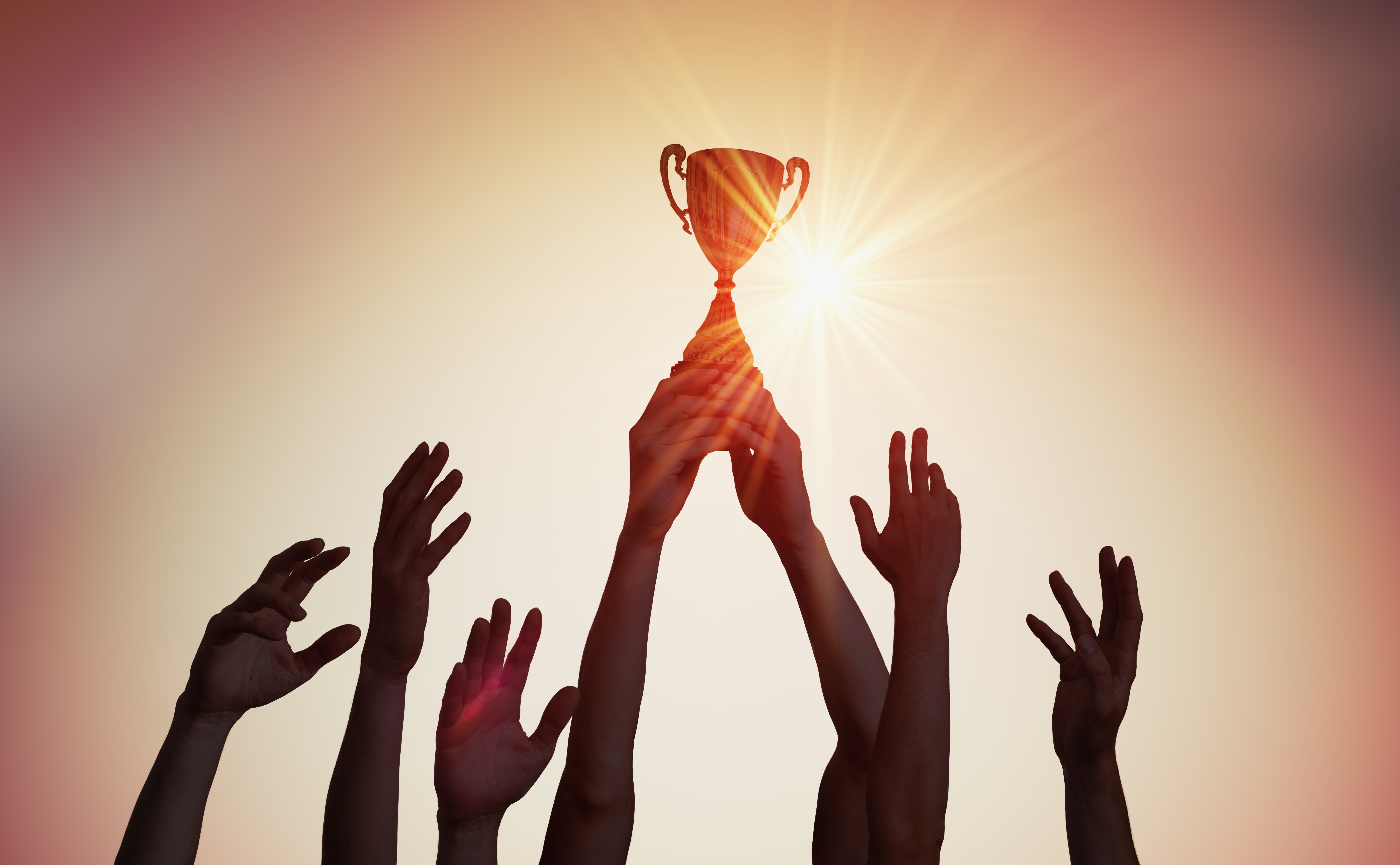 Creating High Performing Teams