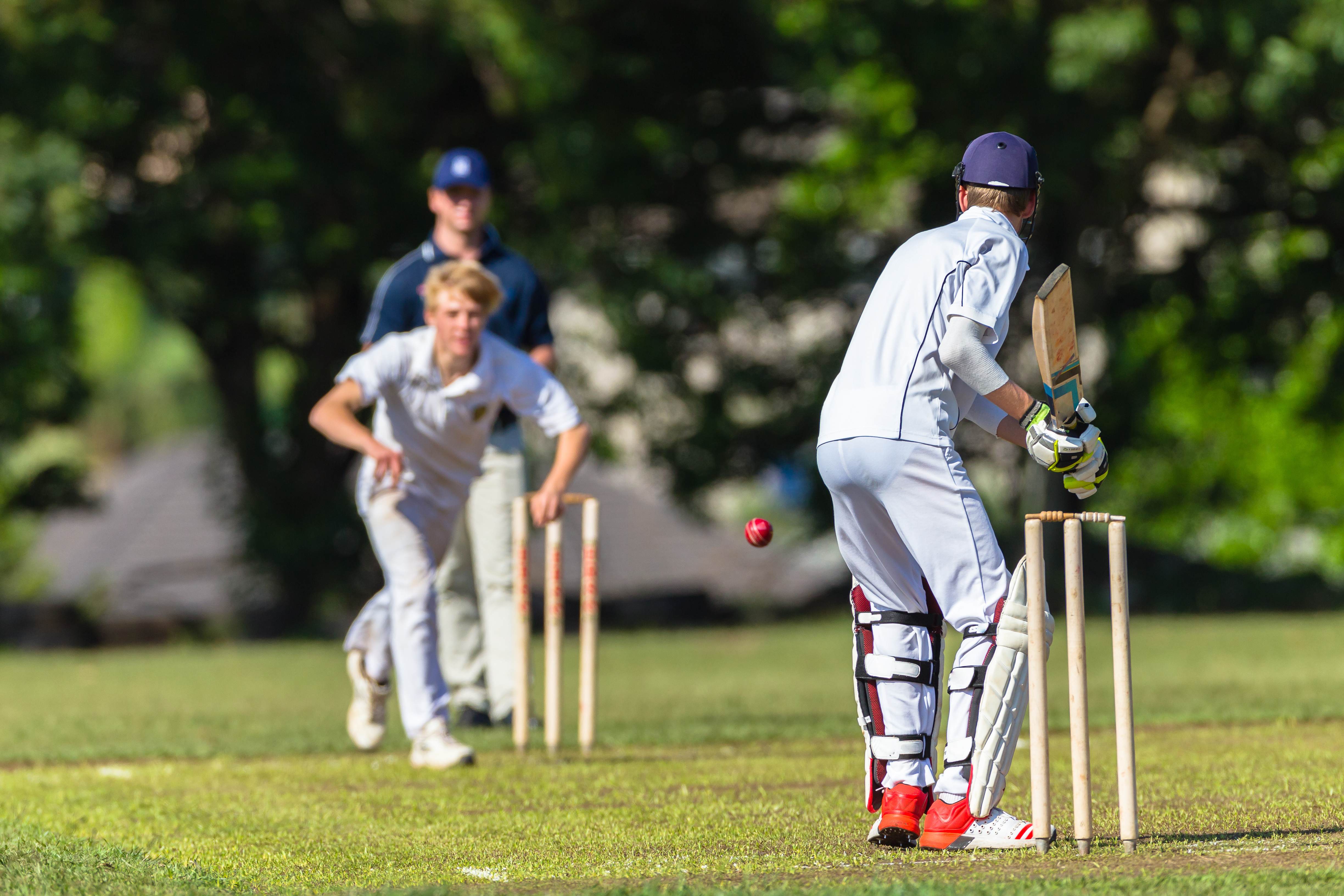The Modern Head of Cricket