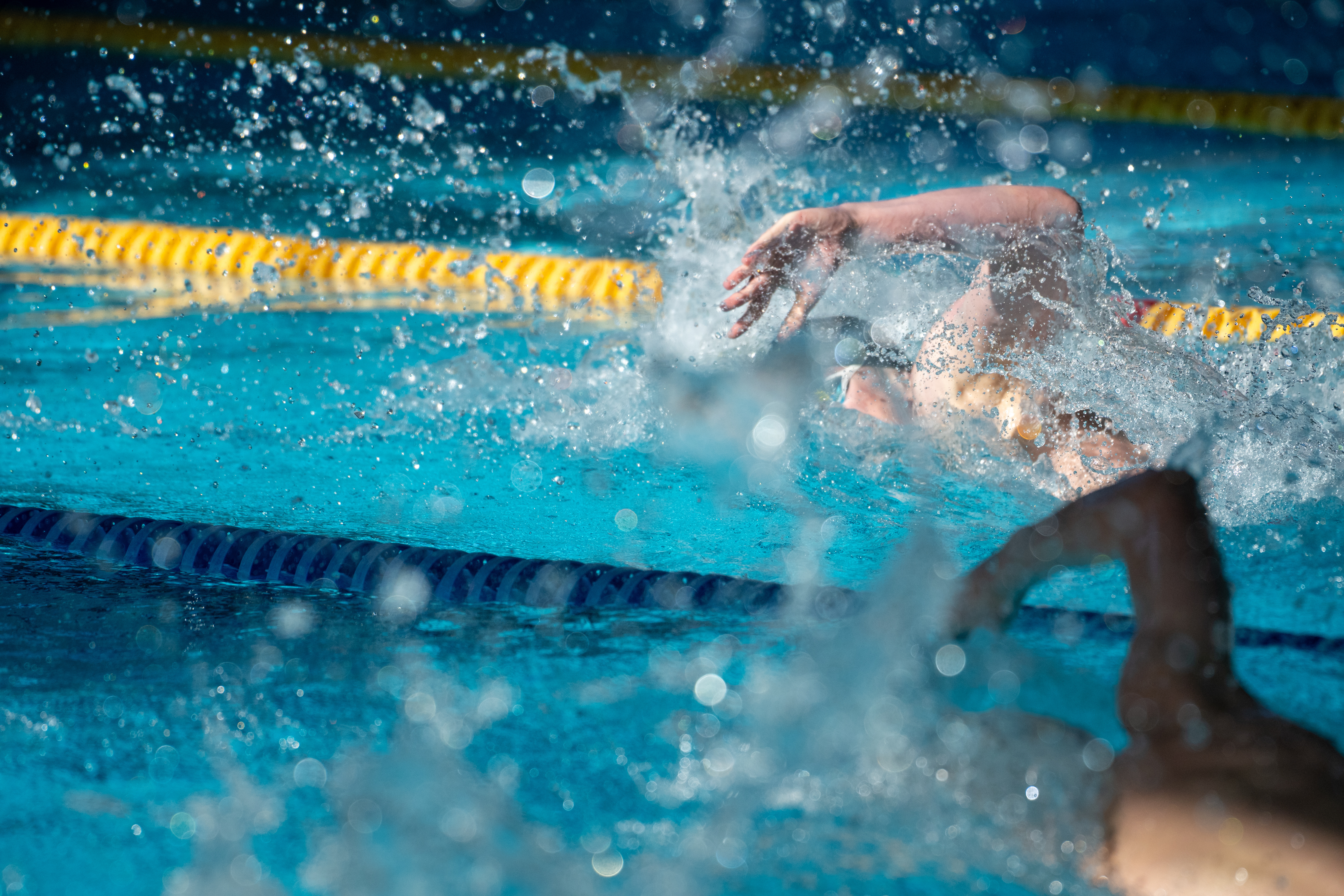 Coaching Swimming In Schools