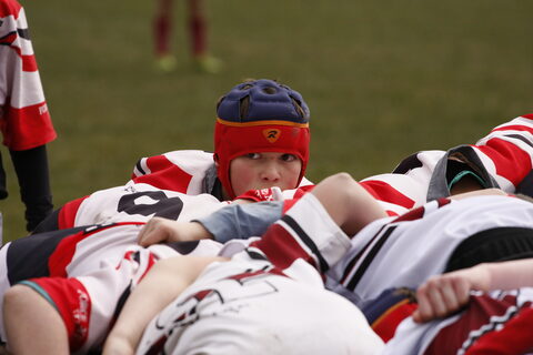 Coaching and Refereeing Age Grade Rugby webinar: Under 9 to under 12
