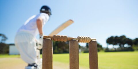 Cricket Coaching and Umpiring for Inexperienced Coaches